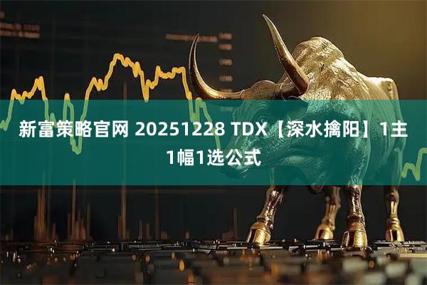 新富策略官网 20251228 TDX【深水擒阳】1主1幅1选公式